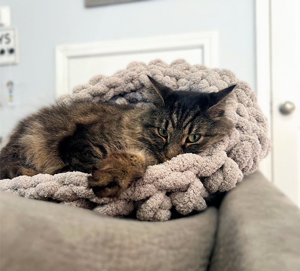Round Custom Handmade Chunky Yarn Crochet Pet Bed Grey with Cat