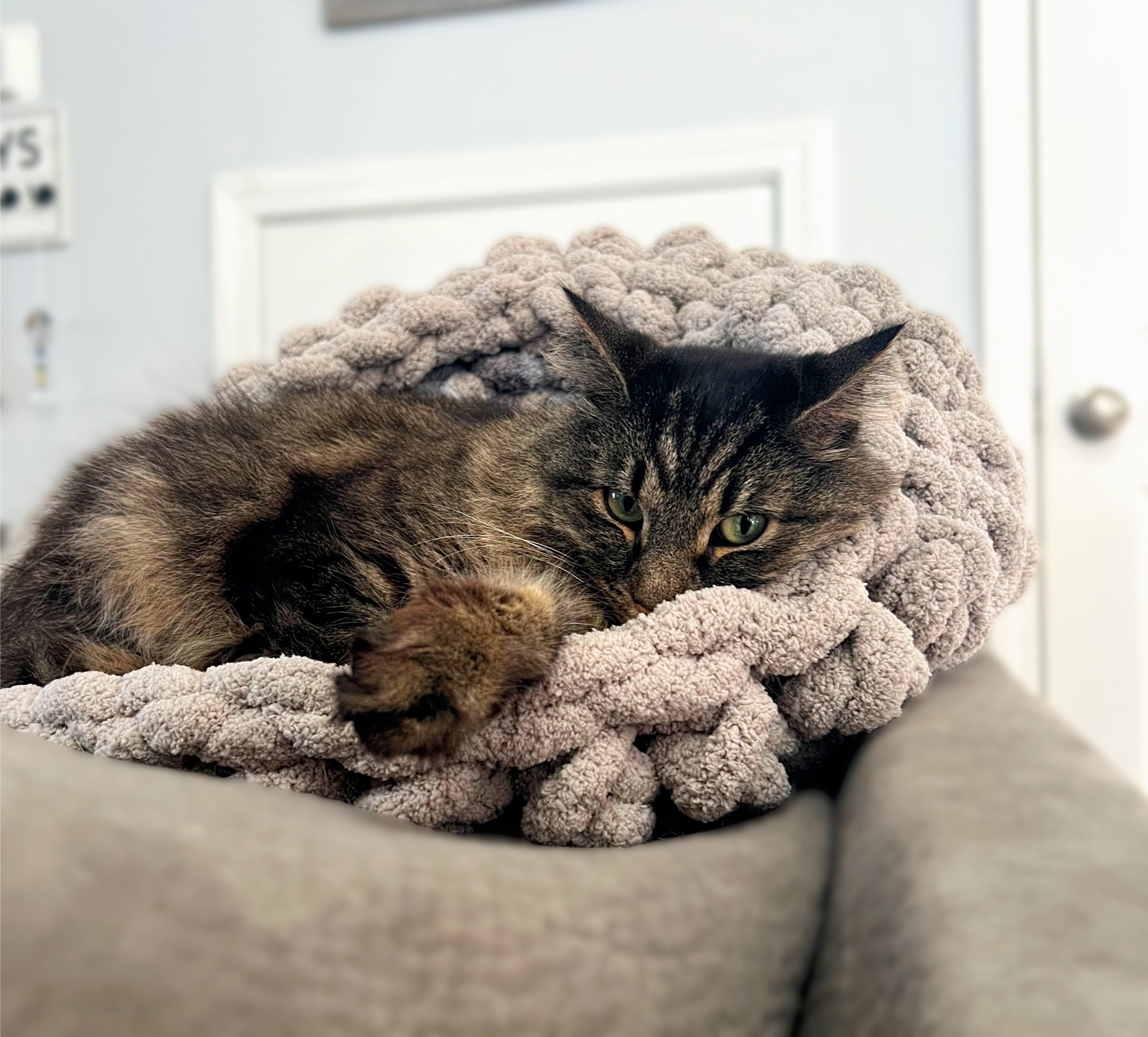 Round Custom Handmade Chunky Yarn Crochet Pet Bed Grey with Cat