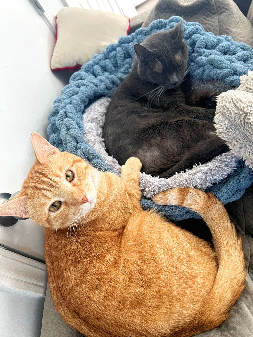 Cats in Chunky Yarn Handmade Crochet Round Pet Bed with Fuzzy Removable Insert