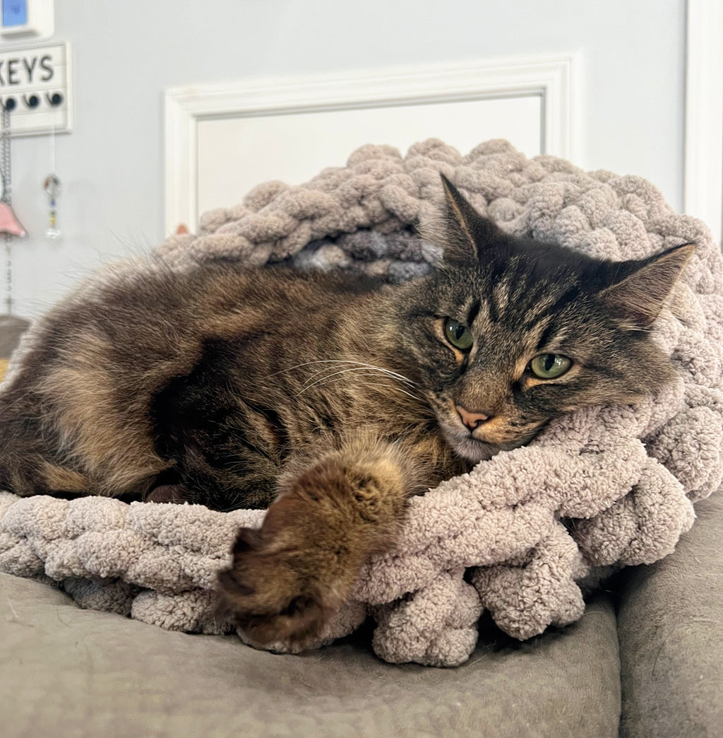 Chunky Knit Yarn Crochet Pet Bed Round Grey with Cat