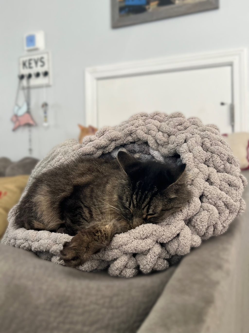 Sleepy Cat in Chunky Yarn Round Handmade Crochet Pet Bed Grey